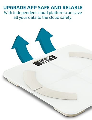 Smart Body Fat Scale: 13 Metrics, iOS/Android Compatible