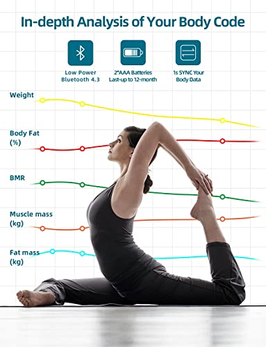 Smart Body Fat Scale: 13 Metrics, iOS/Android Compatible