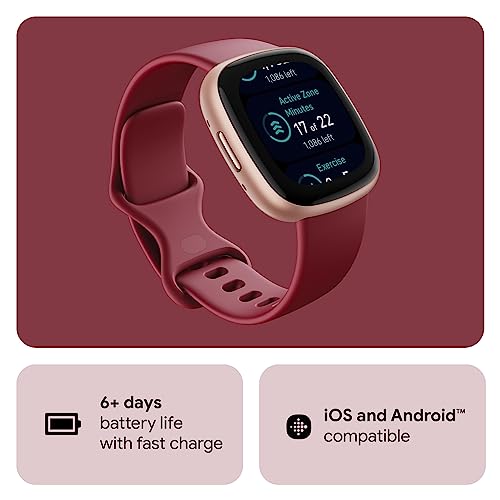 Fitbit Versa 4 Smartwatch - Beet Juice / Copper Rose