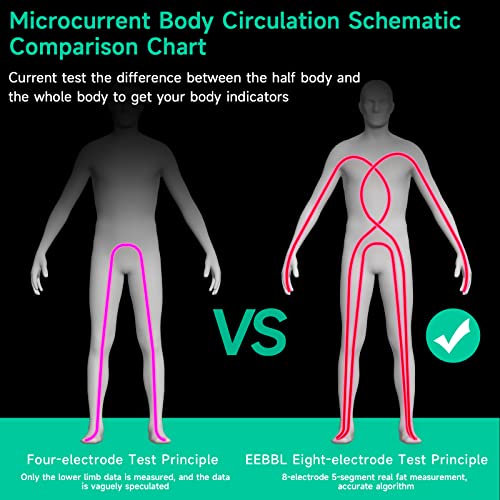 Body Fat Analyzer with Smartphone App, 400 lb