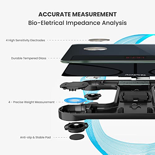 Bluetooth Body Weight & Composition Scales - RENPHO