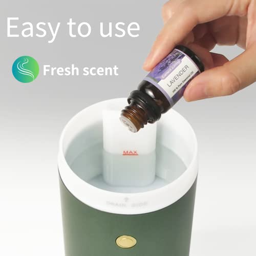 Earnest Living Car Air Freshener with Essential Oil Diffuser