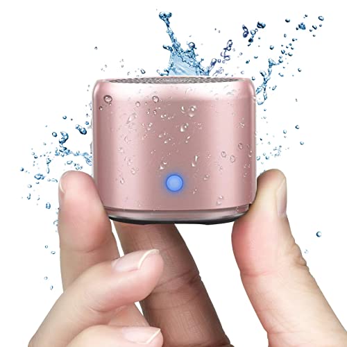 EWA A106 Pro Portable Bluetooth Speaker - Rose Gold