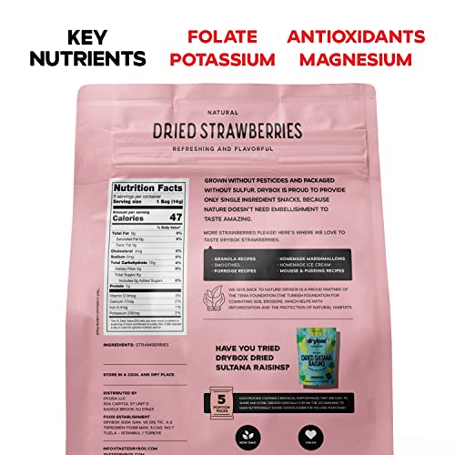 Natural Dehydrated Strawberry Snack Packs, 5x 0.5 oz