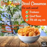 Chunky Diced Cinnamon Dehydrated Apple - 1LB Bag