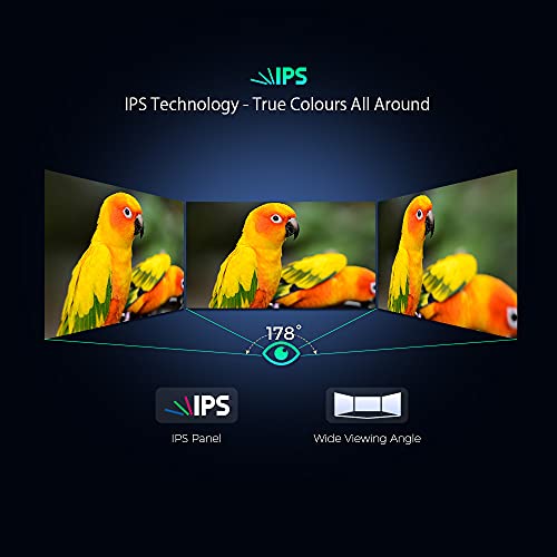 XTRONS 12.5" Android Car Roof Monitor, HDMI, USB