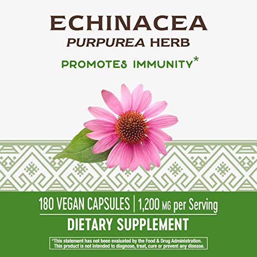 Nature's Way Echinacea Purpurea Capsules, Immune Support