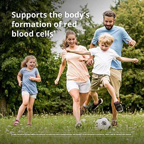 Floradix Vegetarian Iron Liquid Supplement: Energy Support (8 words)