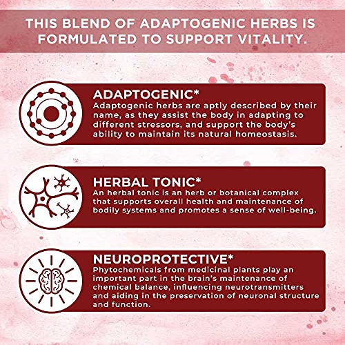 Asian Ginseng Supplement for Vitality and Focus