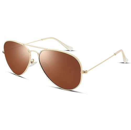 Hycredi Aviator Polarized Sunglasses - Gold/Brown