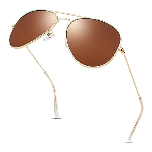 Hycredi Aviator Polarized Sunglasses - Gold/Brown