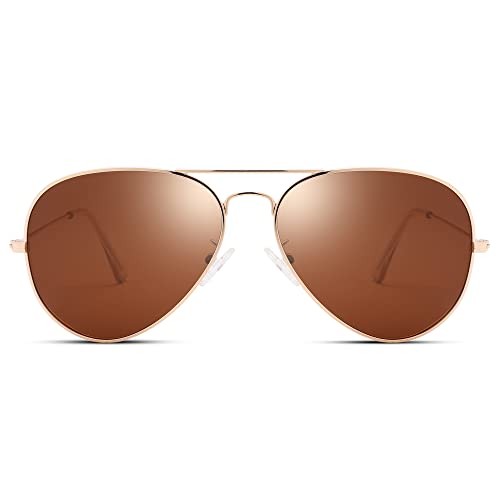 Hycredi Aviator Polarized Sunglasses - Gold/Brown