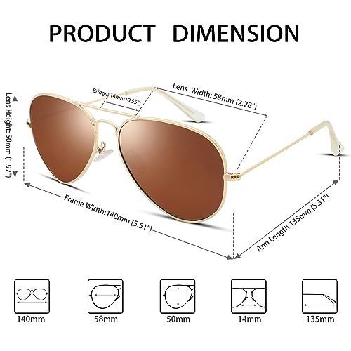 Hycredi Aviator Polarized Sunglasses - Gold/Brown