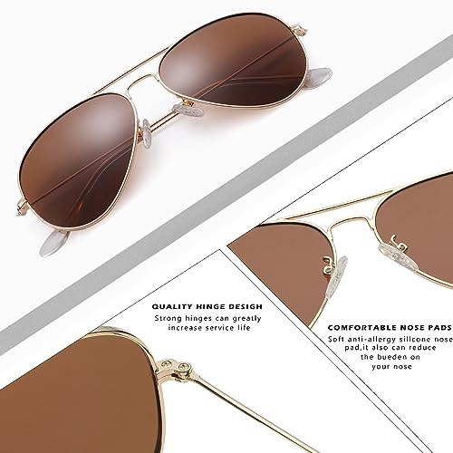 Hycredi Aviator Polarized Sunglasses - Gold/Brown