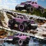DEERC 1:10 Fast RC Crawler Truck - Pink
