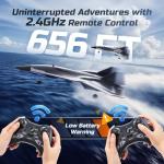 DEERC RC Plane 4-Channel Aerobatic Remote Control Jet