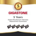 GIGASTONE 64GB Micro SD Card 2-Pack for Drones