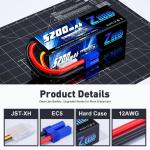 Zeee 3S 5200mAh Lipo Battery with EC5 Connector