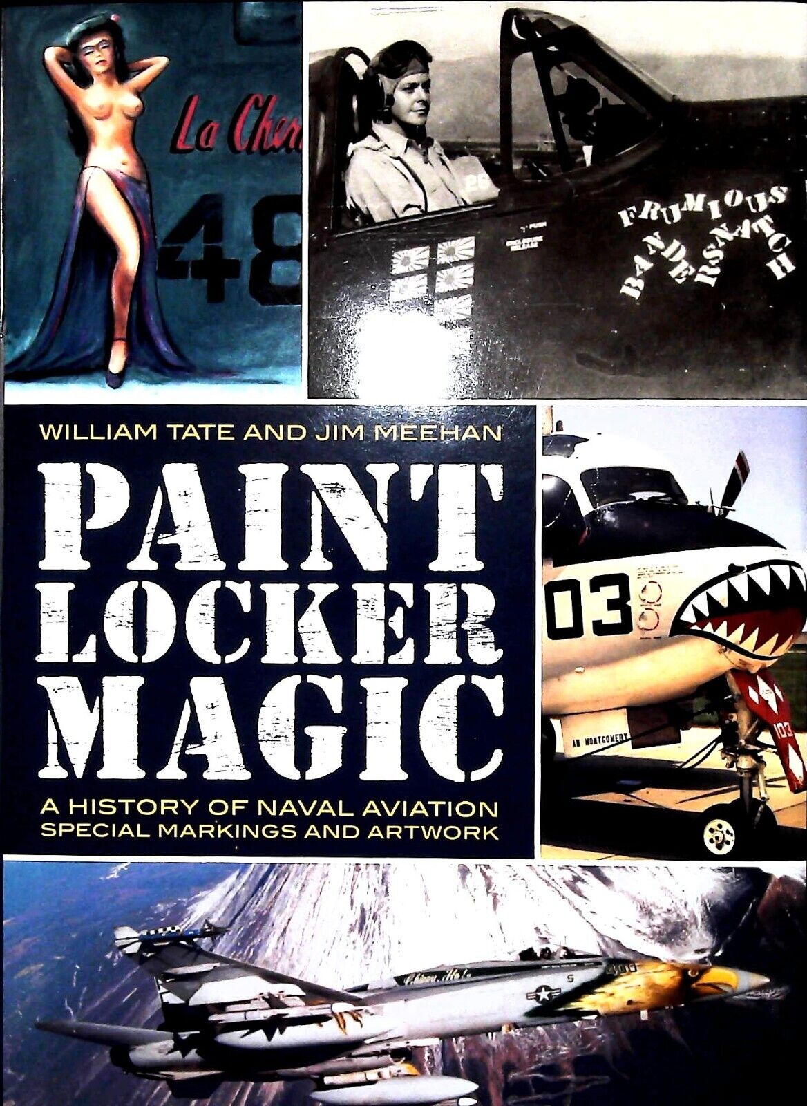 Aviation Paint Transformation Kit