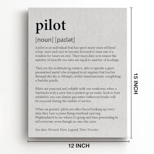 Pilot Definition Canvas Wall Art Print 15x11.5
