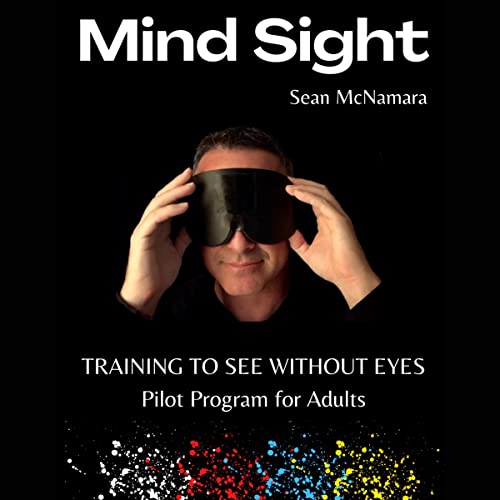 Mind Sight: Aviation Pilot Program for Adults