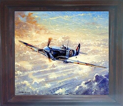 Spitfire Military Airplane Aviation Wall Art Decor Frame