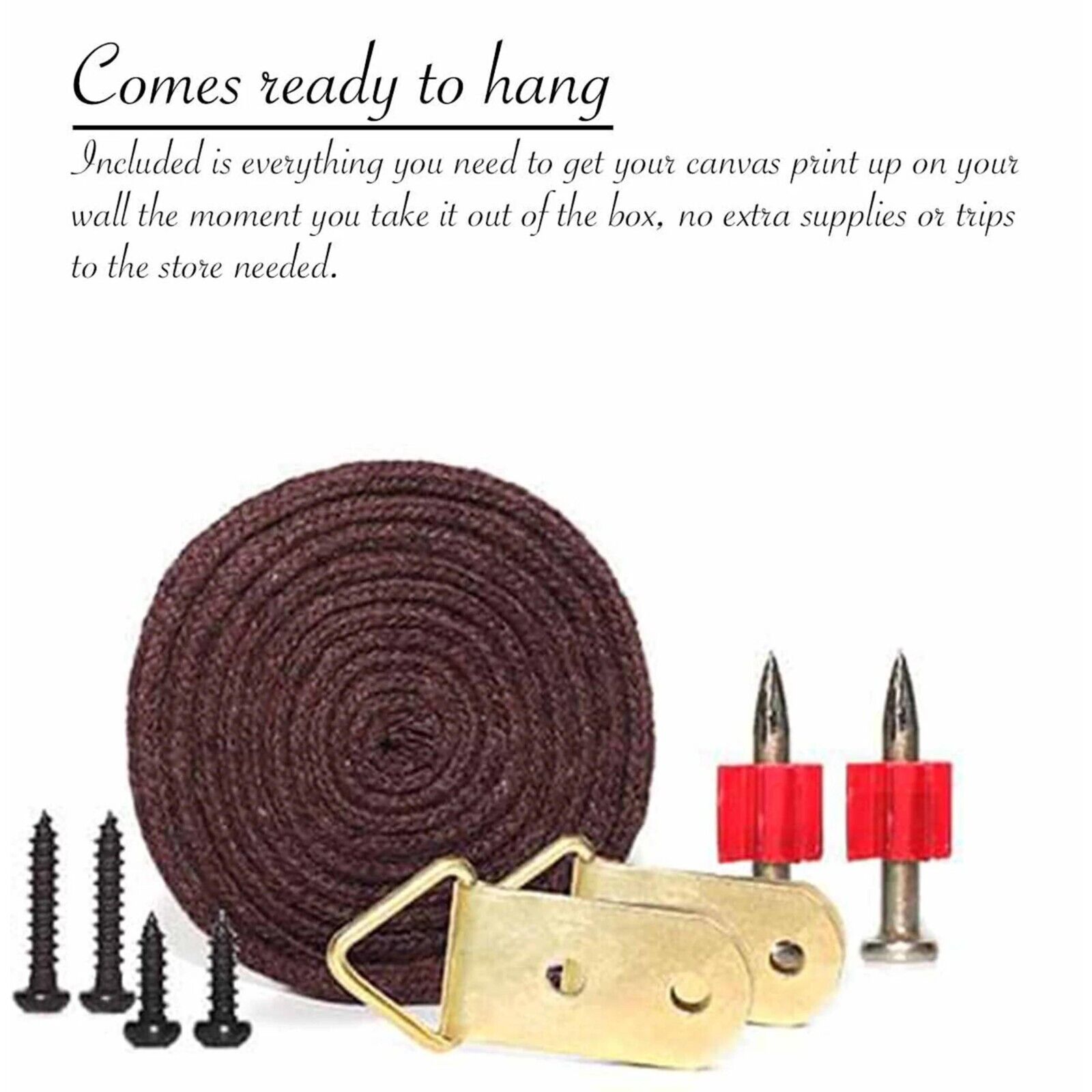 Boeing 737-800 Flight Deck Airplane Canvas Wall Art