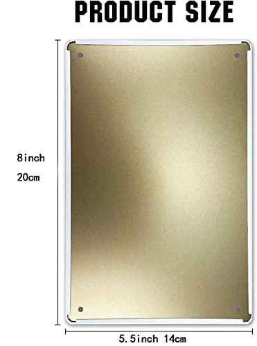 Vintage Metal Sign: Low Flying Aircraft Aviation Decor