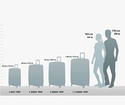 DELSY Paris Softside Expandable Luggage Set, Black