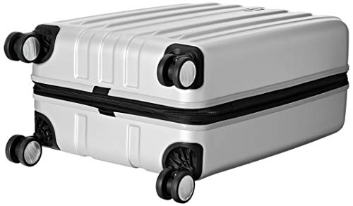 DELSEY Paris Titanium Hardside Checked Luggage, Silver 25