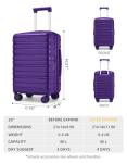 LARVENDER 20-Inch Carry-On Luggage, Violet
