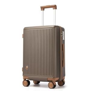 Hulsin 20-Inch Spinner Carry-On Luggage with TSA Lock