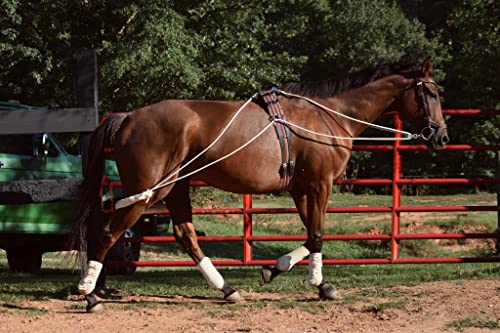 Black Leaders Training Aid for Horse Riding