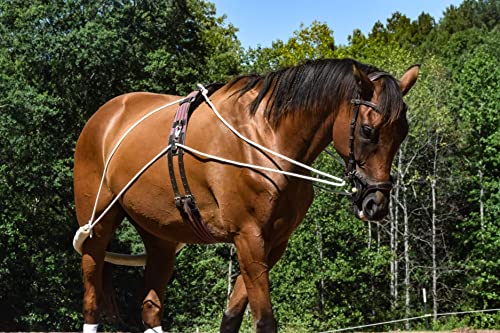 Black Leaders Training Aid for Horse Riding