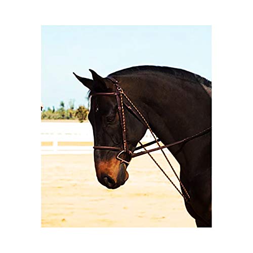 Full Size Camelot Chambon for Horse Riding Training