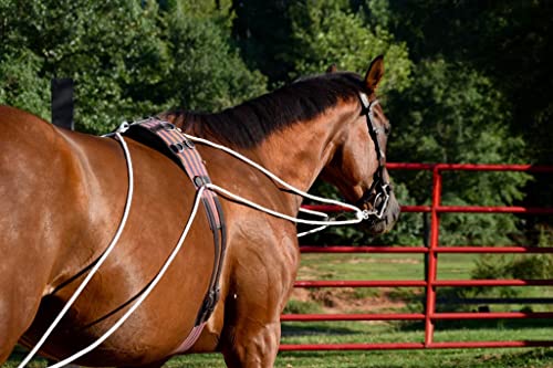 Black Leaders Training Aid for Horse Riding
