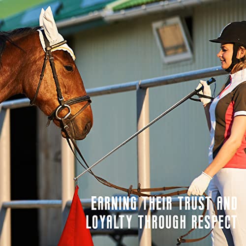4 Piece Horse Training Flag Set with 4ft Pole