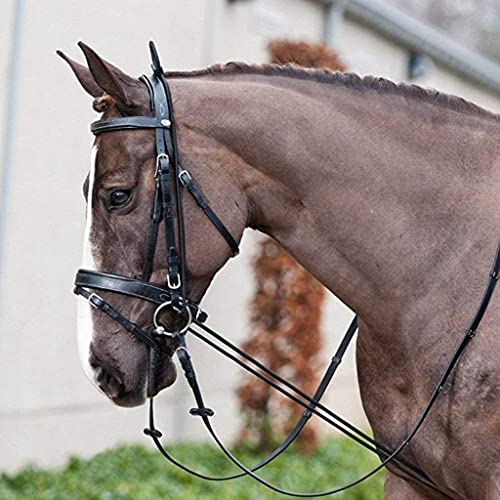 Adjustable Elastic Horse Rein Neck Stretcher for Training