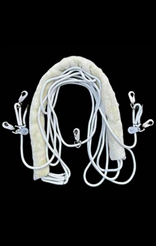 Black Leaders Training Aid for Horse Riding