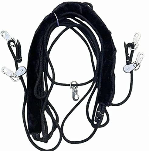 Black Leaders Training Aid for Horse Riding