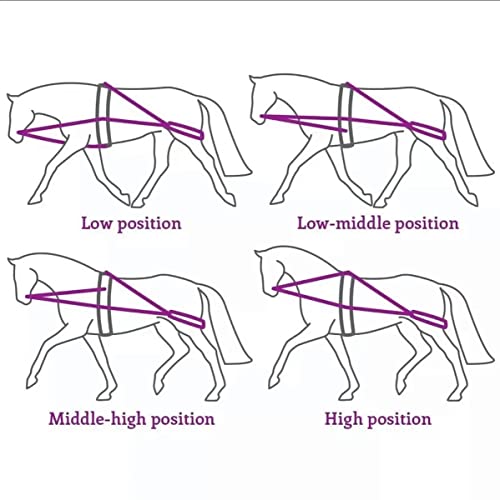 Black Leaders Training Aid for Horse Riding