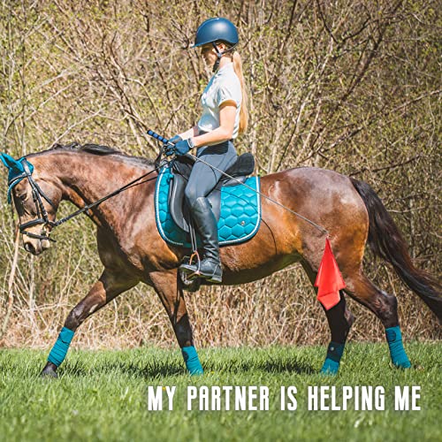 4 Piece Horse Training Flag Set with 4ft Pole
