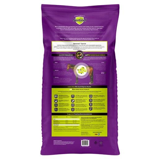 Senior Horse Riding Saddle by Sentinel