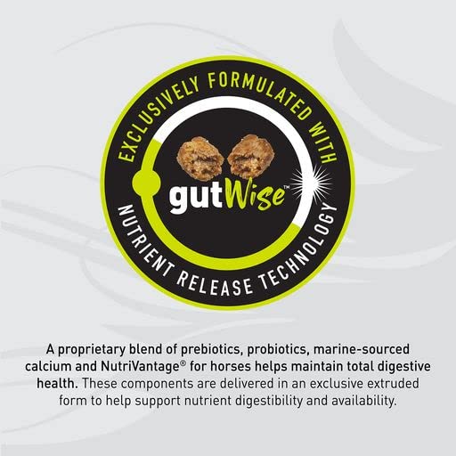 Senior Horse Riding Saddle by Sentinel