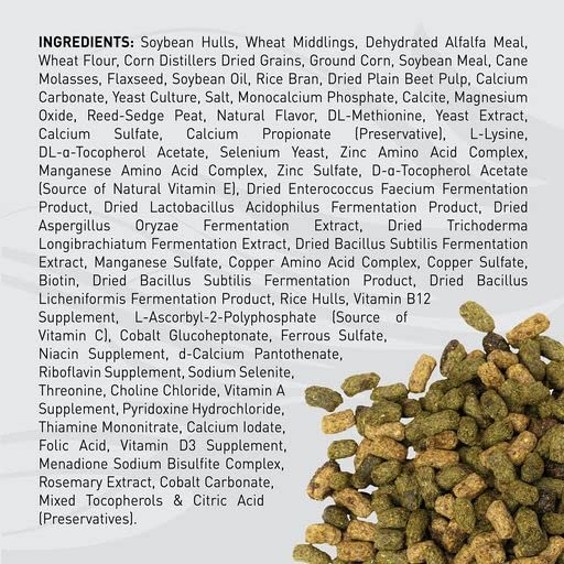 Senior Horse Riding Saddle by Sentinel