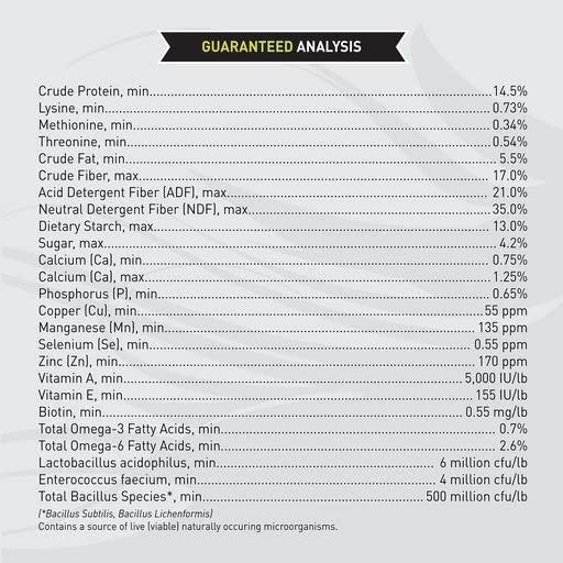 Senior Horse Riding Saddle by Sentinel