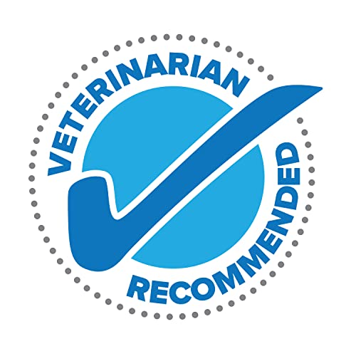 Senior Horse Riding Saddle by Sentinel