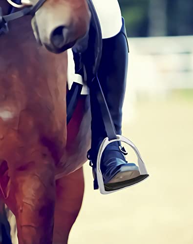 QWORK Horse Riding Safety Stirrups Stainless Steel Pair