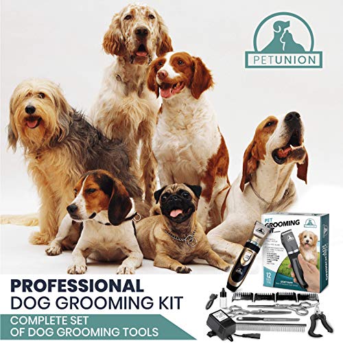 Professional Rechargeable Cordless Pet Grooming Kit - Low Noise