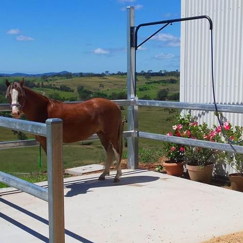 Wall-mounted Horse Wash Attachment - Prevents Tangles and Trampling